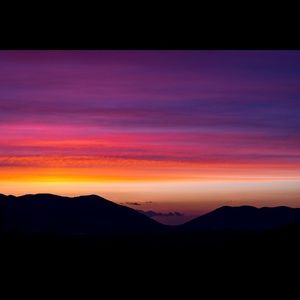 Meet your Posher, Yvonne